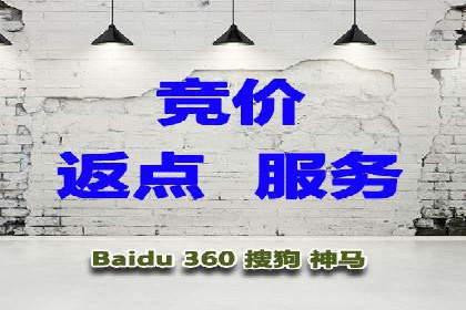 竞价排名广告投放案例